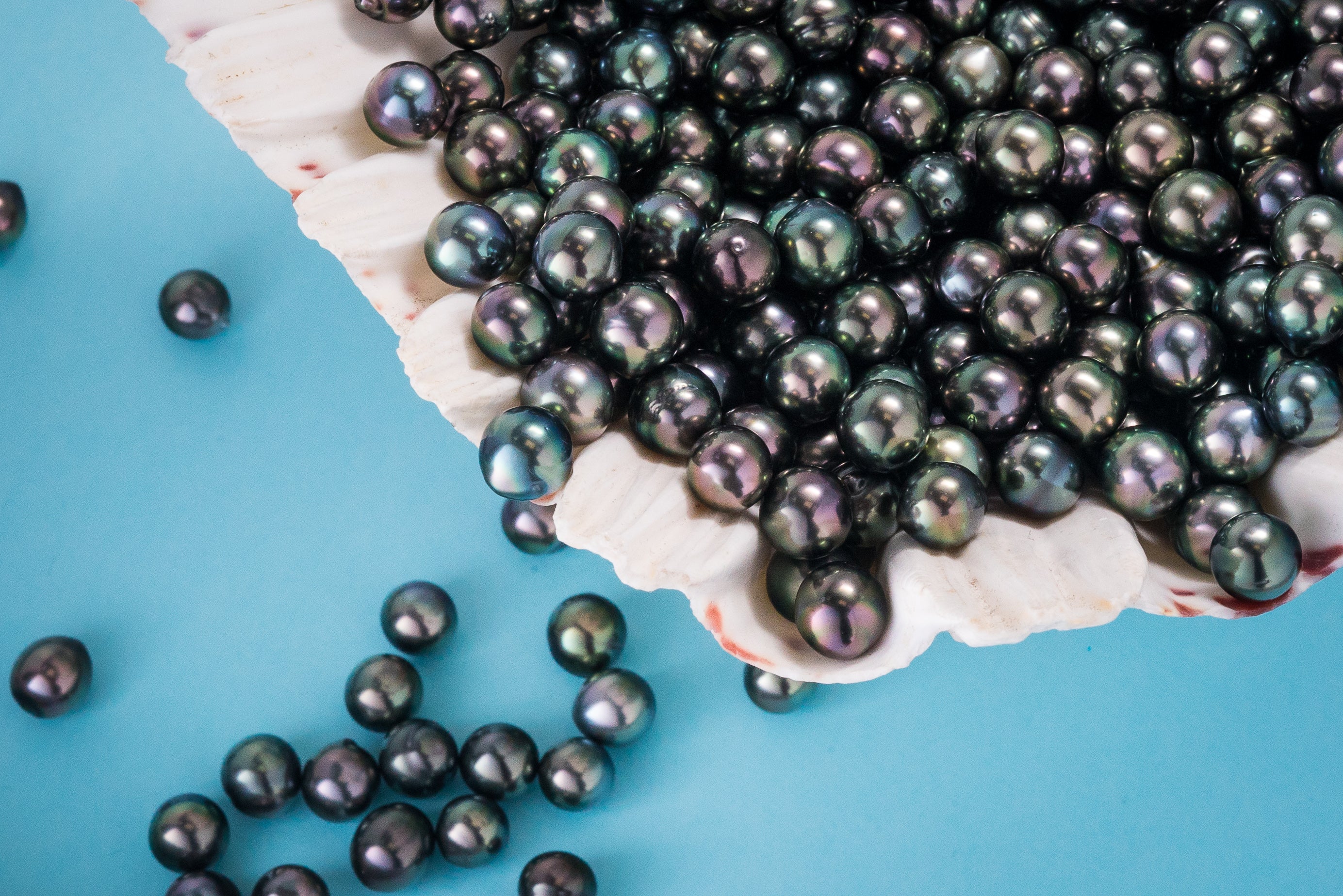 The grounding of the Pearl of Tahiti: what follows the boom?